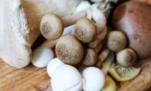 cara membuat jamur crispy