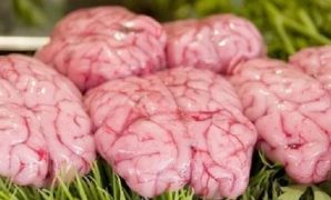 Cara Memasak Otak Sapi Agar Tidak Hancur