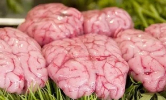 Cara Memasak Otak Sapi Agar Tidak Hancur