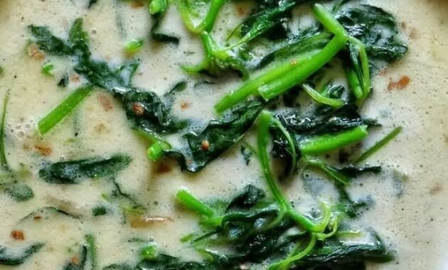 resep bobor bayam santan instan